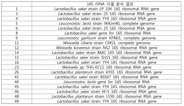 선별한 20종의 균의 동정 결과