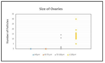 생식선으로부터 분리된 다양한 크기의 세포 덩어리로부터 형성된 난포의 개수의 통계 그래프