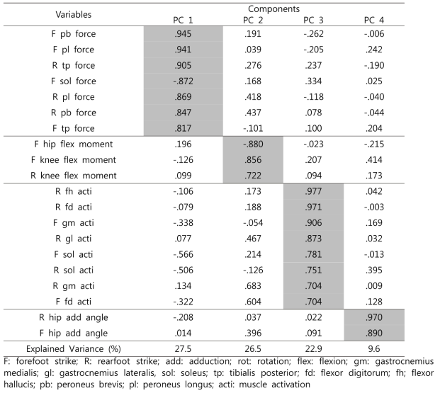 Factor loading outcomes for principal components