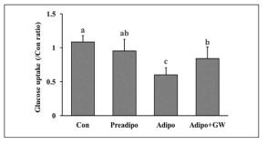 지방세포의 culture medium을 처리한 근육세포의 glucose uptake 변화