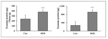 정상식이(Con)와 고지방식이(HFD)를 섭취한 마우스의 지방조직에서 분비된 엑소좀 단백질 양 비교