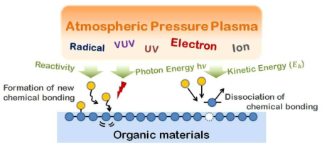 플라즈마-유기물의 상호작용 메커니즘