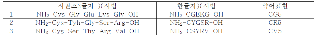 디자인된 3종의 주름개선 펩타이드의 시퀀스