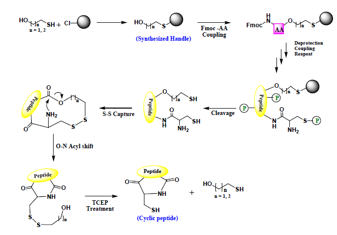 O-N acyl shift