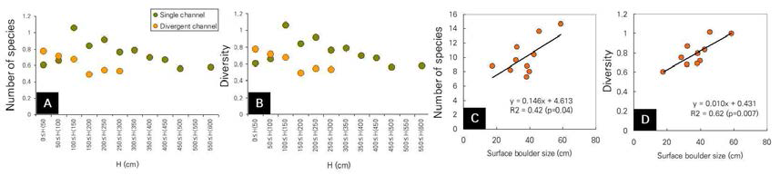 토석류 퇴적지에 있어 상대높이와 거석의 입경에 따른 종 수(A, C)와 종다양도(B, D) 변화
