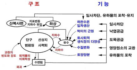 수변역의 구조와 기능(Nakamura, 1995)