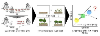 토석류 발생에 따른 산지수변림의 교란과 재생과정의 모식도