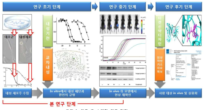 임용 후 수행할 연구 전략