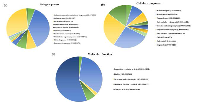 The differentially expressed proteins were categorized into three classes including biological process, molecular function and cellular component. The proteins of molecular function were mainly involved in catalytic activity (25) and binding (15) as represented in Figure 2a. For the cellular component, most proteins were distributed in the cellular part (29) and the organelle part (16) as represented in Figure 2b. In terms of biological process, majority of the protein class are associated with cellular process (29) and metabolic process (23) as represented in Figure 2c