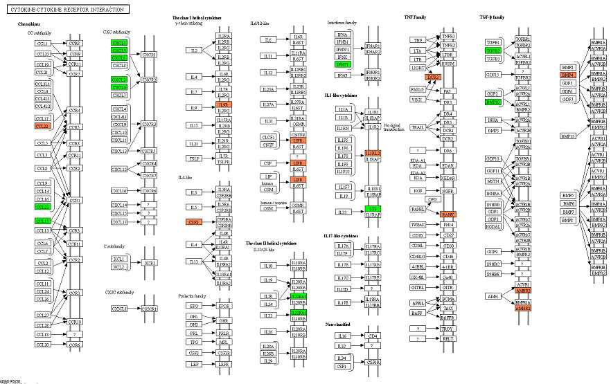 Z6, Z10 샘플의 cytokine-cytokine receptor interaction KEGG pathway