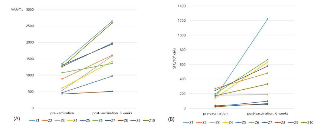 대상포진백신 접종 전, 접종 6주 후 측정값 (A) gpELISA (B) IFN-γ ELISpot assay
