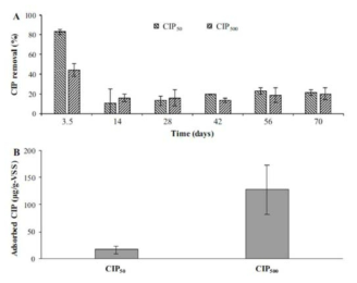 생물 반응조에 의한 유입수 대비 유출수 함유 CIP 제거율(A)과 슬러지 흡착 CIP 정량 (B) (Kim et al., 2019)