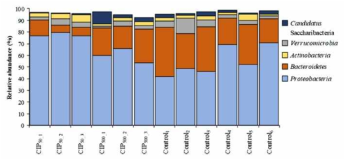 반응조 슬러지 군집 내 미생물 주요 문 (phylum)의 상대적 풍부도 (%) (Kim et al., 2019)