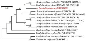 CIP를 제거하는 미생물의 계통발생학적 관계 (Nguyen et al., 2018)