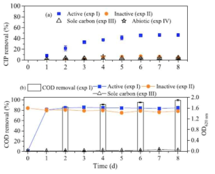 실험 조건별 CIP 제거 (A)와 유기물 제거 및 광밀도 (B) (Nguyen et al., 2018)