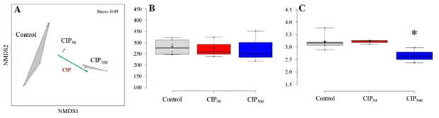 CIP 농도에 따른 미생물 군집 구조 (A), 종 풍부도 (B), 종 다양성 지수 (C) 변화 (Kim et al., 2020)