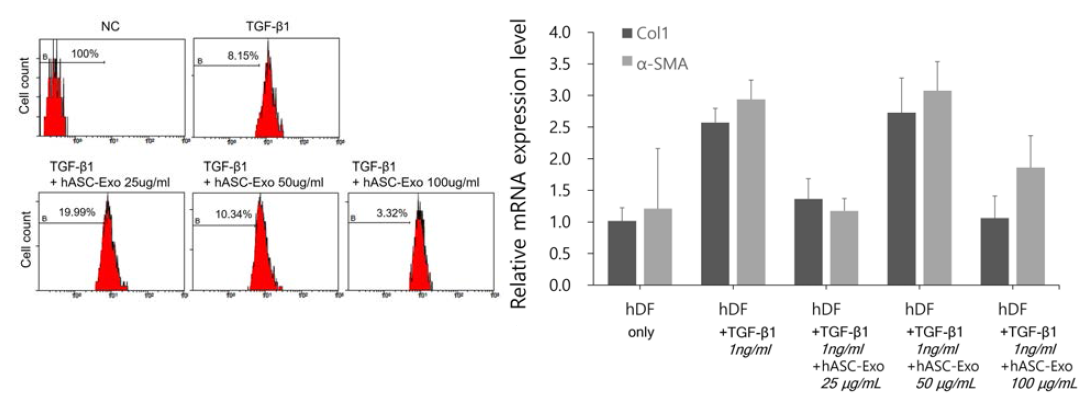 α-SMA 음성인 세포의 분포 (FACS). hASC-Exo투여에 의해 그 분포가 증가되는 것이 확인됨. 난 투여 농도에 비례하지는 않음