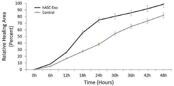 결손 부위에 세포가 자라들어가는 면적을 이미지 소프트웨어로 측정함. hASC-Exo를 1X108 particles/ml 농도로 배지에 투여한 실험군에서 대조군에 비해 섬유아세포의 이동이 촉진되는 것을 확인함