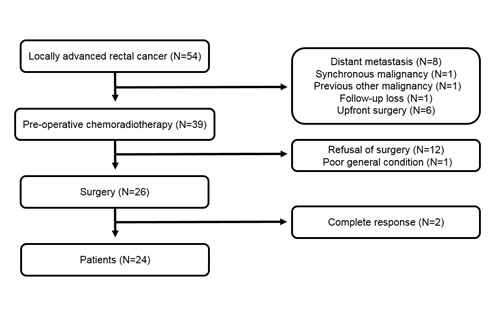 Flow chart of the study