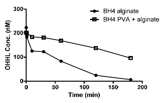 시간에 따른 BH4 bead의 OHHL 활성 시험