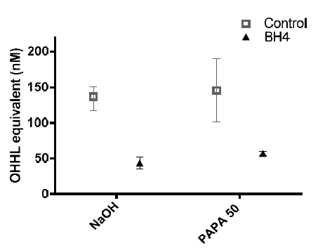 PAPA NONOate와 BH4 alginate bead에 의한 생물막 실험 후 상등액의 OHHL 농도 변화