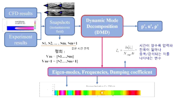 Procedure of DMD