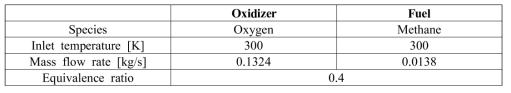 Boundary conditions of numerical simulation