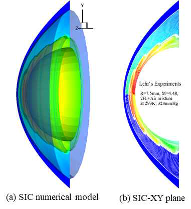 Schematic of SIC model for numerical simulation