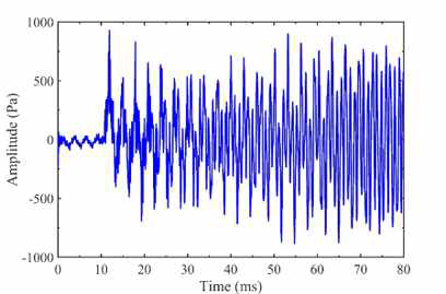 Pressure at monitoring point