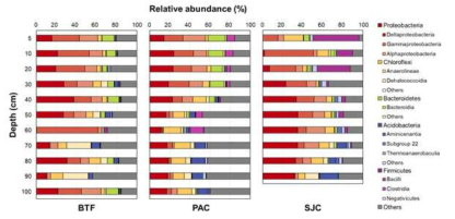 Relative abundances of the bacterial communities along with sediment depth of tidal flat and marshes in the Yellow Sea