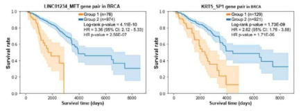 유방암 데이터에서 찾은 유전자 쌍 LINC01234-MET, KRT5-SP1의 상관관계에 따른 생존 분석