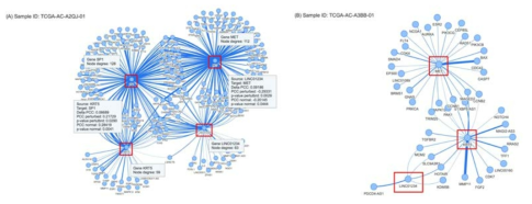 그림 8의 유전자 쌍 (LINC01234-MET, KRT5-SP1)을 기준으로 선택된 유방암 환자의 서브 네트워크. (A) 두 유전자 쌍에 의한 분류에서 모두 group 1에 속하는 환자. (9) 두 유전자 쌍에 의한 각 분류에서 모두 group 2에 속하는 환자 (Park et al. 2019)