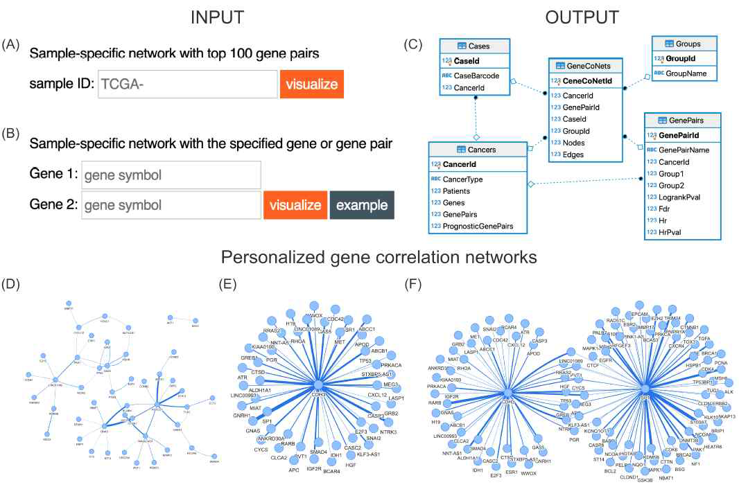 (A)-(B) 데이터 입력 (C) GeneConet의 출력 스키마 (D)-(F) 개인별 유전자 네트워크의 예