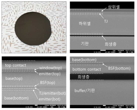 다중접합 셀 에피층이 성장된 GaAs 기판 사진 및 SEM 사진