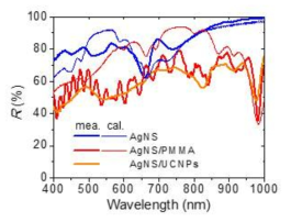 제작된 은 나노구조의 반사도 스펙트럼 측정결과와 이와 비교한 계산 결과