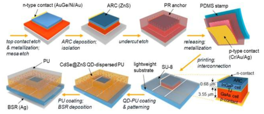 CdSe/ZnS-NOA 기반 LWC가 도입된 초경량 유연 InGaP/GaAs 다중접합 태양전지 공정 프로세스