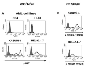 급성골수성백혈병 세포 HEL92.1.7세포와 KASUMI-1에서 BD Bioscience의 104D2클론을 이용한 c-KIT분자의 발현도 분석