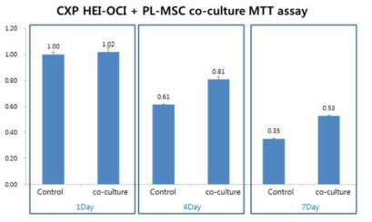 H50uM cisplatin을 주입한 EI-OC1 에 줄기세포를 주입한 경우 viable cells의 수가 증가함