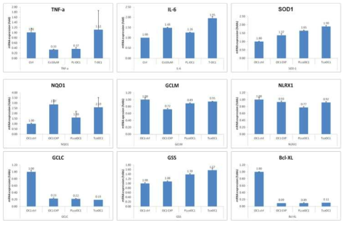 50uM cisplatin 처리한 HEI-OC1에서 줄기세포 주입에 따른 inflammatory response 등 관련 인자들의 발현변화