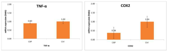 cisplatin 유도 이독성 난청 모델에서inflammatory response 관련 인자의 발현변화