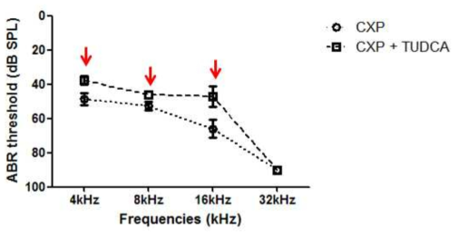 cisplatin 투여군 (CXP)에 비하여 cisplatin + TUDCA를 주입한 군 (CXP +TUDCA)에서 ABR 역치가 감소함
