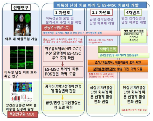 연구 단계별 목표 및 성과 계획 도식도 (특허 2건, SCI 2건 이상)