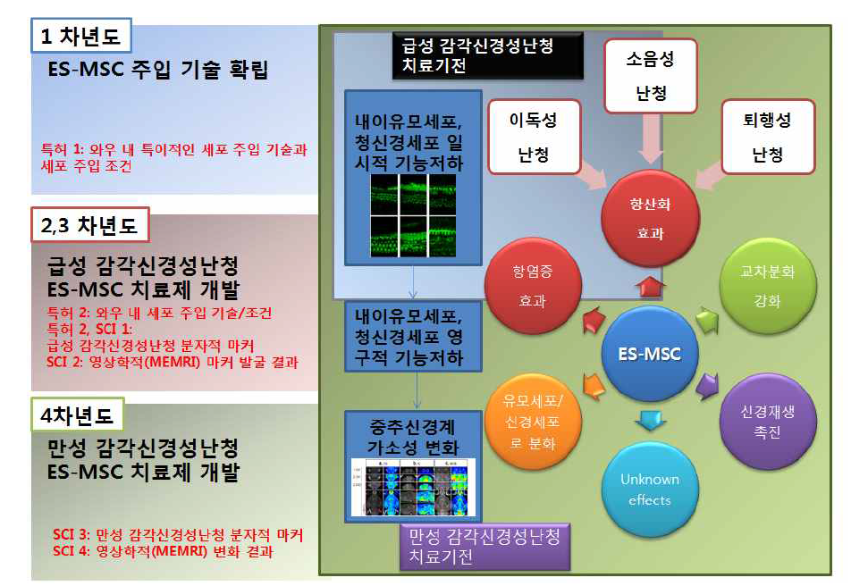 감각신경성난청 치료기전과 본 연구의 개요 모식도