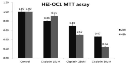 cisplatin 처리 농도에 따른 세포 사멸의 증가