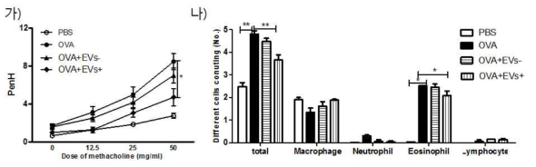 메타콜린 농도에 따른 기도저항성 측정과 기도세척액(BALF) 내 염증성 면역 세포 비교
