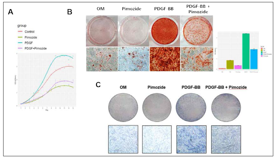 USP1 조절에 의한 중간엽줄기세포의 세포 생장 및 분화능 조절