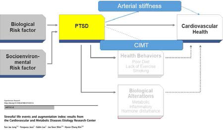 본 연구에서 가설로서 제시한 트라우마/PTSD가 심혈관계 질환에 이르는 매커니즘 모식도
