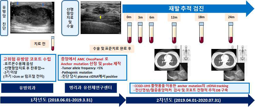 연구 개념도