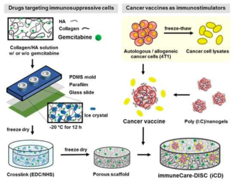 MDSC 사멸 유도 약물, 암백신 및 면역활성화 물질이 로딩된 연성 생체삽입소자 (immuneCare-DISC)의 제조과정