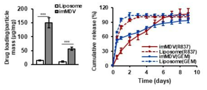 다중도메인베시클과 일반 리포솜의 약물봉입효율 및 지효성 비교